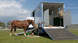 Horseboxes and Trailers
